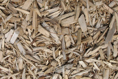 biomass boilers Boho