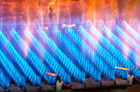 Boho gas fired boilers